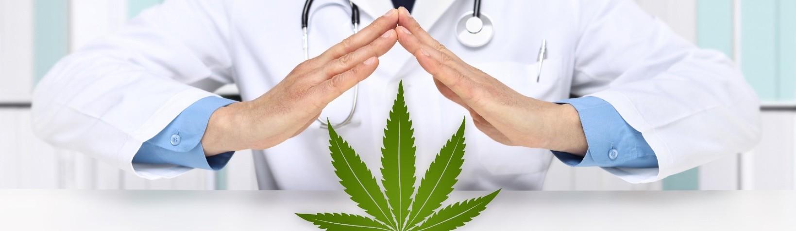 A person using a white coat housing a cannabis leaf with his hands 